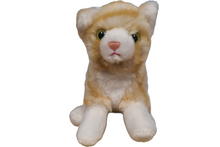 Load image into Gallery viewer, Pumpkin the Canned Orange Tabby Cat
