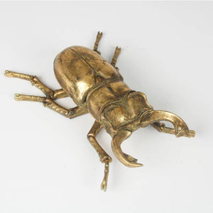 Gold Stag Beetle - Large