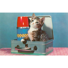Load image into Gallery viewer, Kitten in a Lunchbox Postcard
