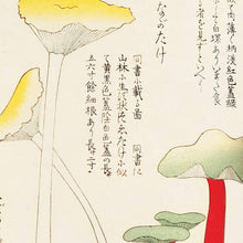 Load image into Gallery viewer, Vintage Japanese Mushroom Print
