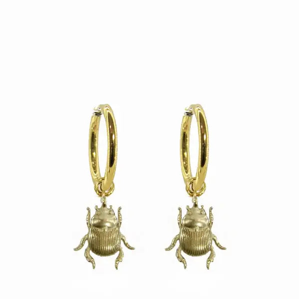 Brass Beetle Stainless Steel Hoops- 18K Gold Plated