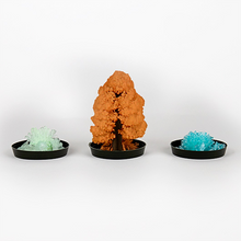 Load image into Gallery viewer, DIY Crystal Growing Kit for Kids
