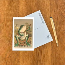 Load image into Gallery viewer, Frog Playing Banjo in Moonlight Postcard
