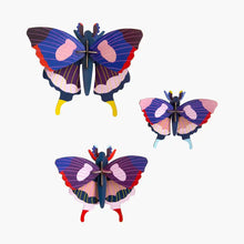 Load image into Gallery viewer, Swallowtail Butterflies Kit - Set of 3 - Tigertree
