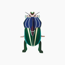 Load image into Gallery viewer, Mimela Scarab Beetle Kit - Tigertree
