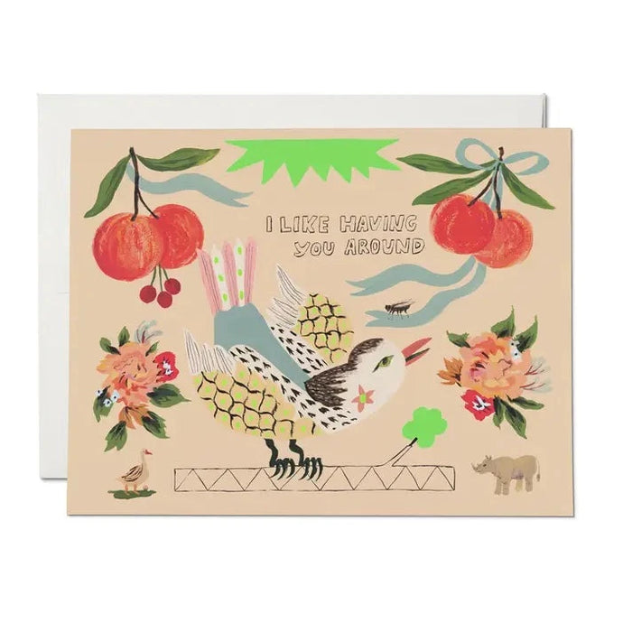 Bird and Fly Friendship Greeting Card - Tigertree