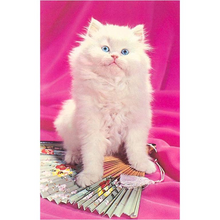 Load image into Gallery viewer, Alert Fluffy Kitten Postcard
