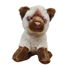 Load image into Gallery viewer, Sapphire the Canned Siamese Cat
