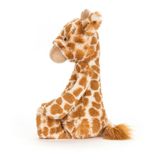 Load image into Gallery viewer, Bashful Giraffe Medium

