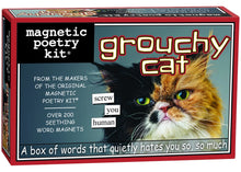 Load image into Gallery viewer, Magnetic Poetry Kit
