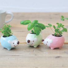Load image into Gallery viewer, Hedgie Green - Tigertree
