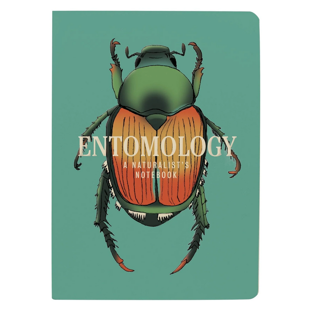 Insect Notebook