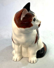 Load image into Gallery viewer, Calico Kitty Bank

