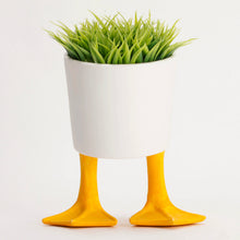 Load image into Gallery viewer, Large Duck Feet Planter - Tigertree

