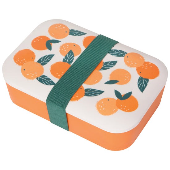 Bento Box Paradise Oranges