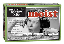 Load image into Gallery viewer, Magnetic Poetry Kit
