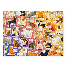 Load image into Gallery viewer, Moody Cats Puzzle
