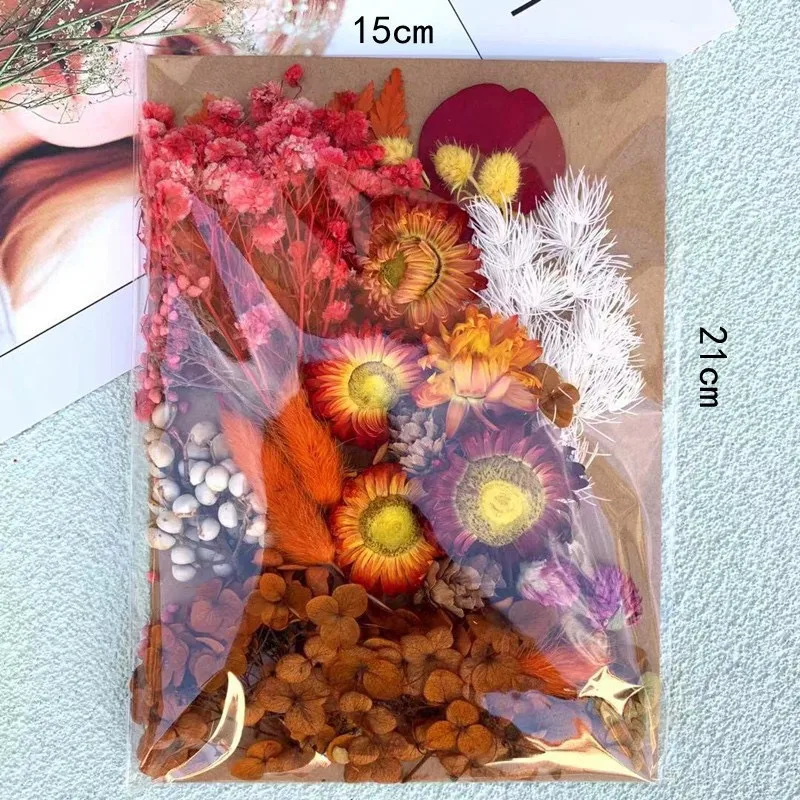 Dried Flower Kit - Tigertree