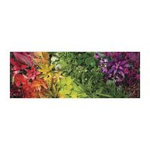 Load image into Gallery viewer, Plant Life Panoramic Puzzle
