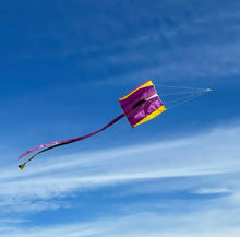 Load image into Gallery viewer, Parafoil Pocket Kite - Tigertree
