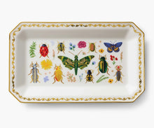 Load image into Gallery viewer, Curio Large Catch All Tray - Tigertree

