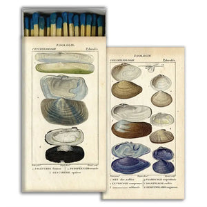 Seashell Specimens Matches - Tigertree