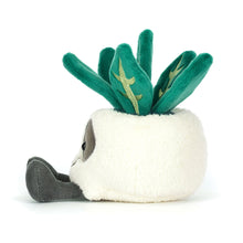 Load image into Gallery viewer, Amuseables Skull Planter

