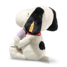 Load image into Gallery viewer, Snoopy Peanuts Heartbreakers Club Plush
