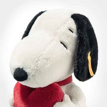 Load image into Gallery viewer, Snoopy Peanuts Love Red Heart
