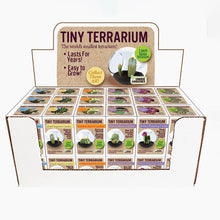 Load image into Gallery viewer, Tiny Cactus Terrarium
