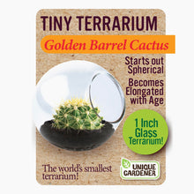 Load image into Gallery viewer, Tiny Cactus Terrarium
