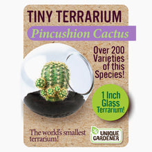 Load image into Gallery viewer, Tiny Cactus Terrarium
