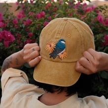 Load image into Gallery viewer, Tree Swallow Washed Hat
