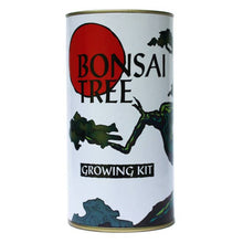 Load image into Gallery viewer, Bonsai Tree Grow Kit - Tigertree
