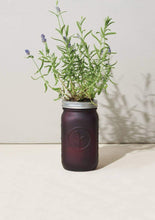 Load image into Gallery viewer, Lavender Garden Jar - Tigertree

