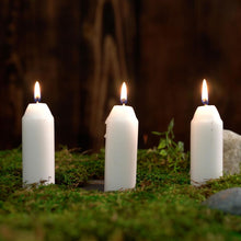 Load image into Gallery viewer, Lantern Candle 3-Pack - Tigertree
