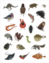 Load image into Gallery viewer, Charley Harper: Tree of Life Sticker Book - Tigertree
