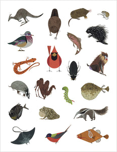 Charley Harper: Tree of Life Sticker Book - Tigertree