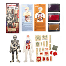 Load image into Gallery viewer, Anatomy Stamp Set - Tigertree
