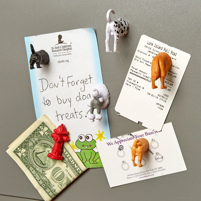 Dog Butt Magnets - set of 6 - Tigertree