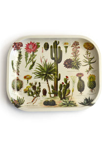 Metal Cacti Tray - Tigertree