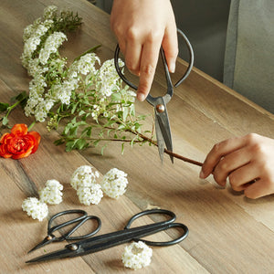 Garden Shears Set of 3 - Tigertree