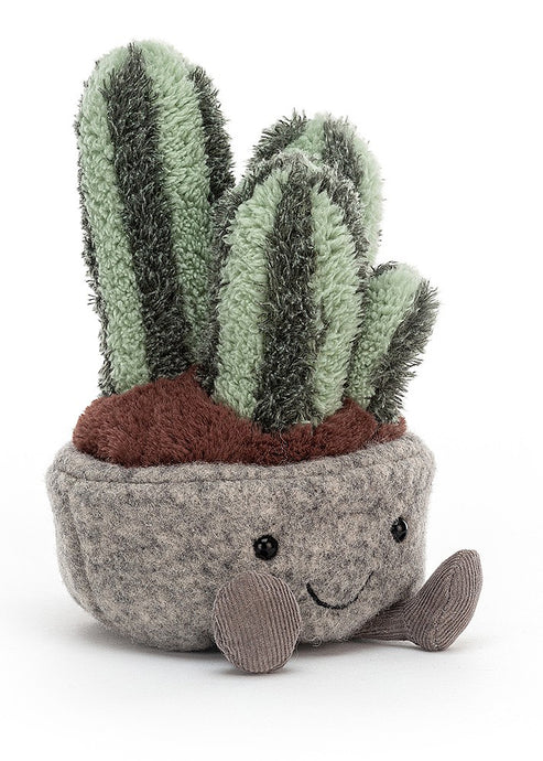 Silly Succulent Columnar Cactus - Tigertree