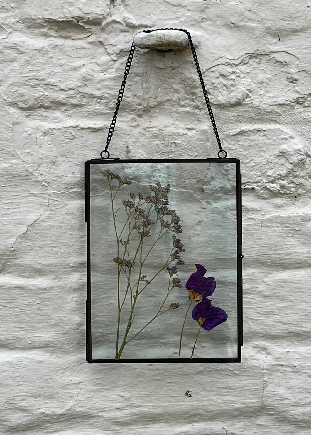 Framed Dried Flowers - M - Tigertree
