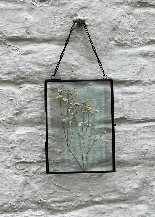 Framed Dried Flowers - S - Tigertree