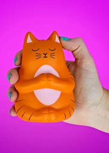 Load image into Gallery viewer, Meowditation Stress Toy - Tigertree
