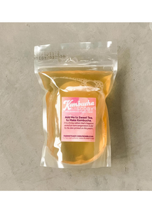 Kombucha Making Kit - Tigertree