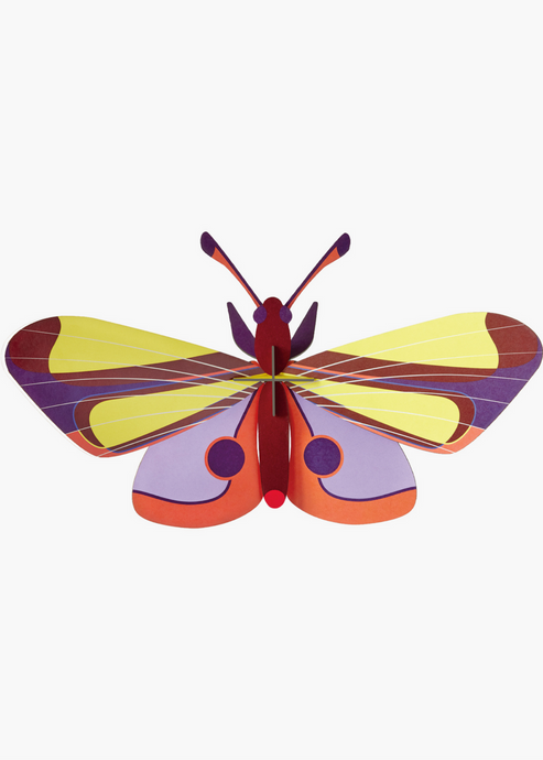 Purple Eyed Butterfly - Tigertree