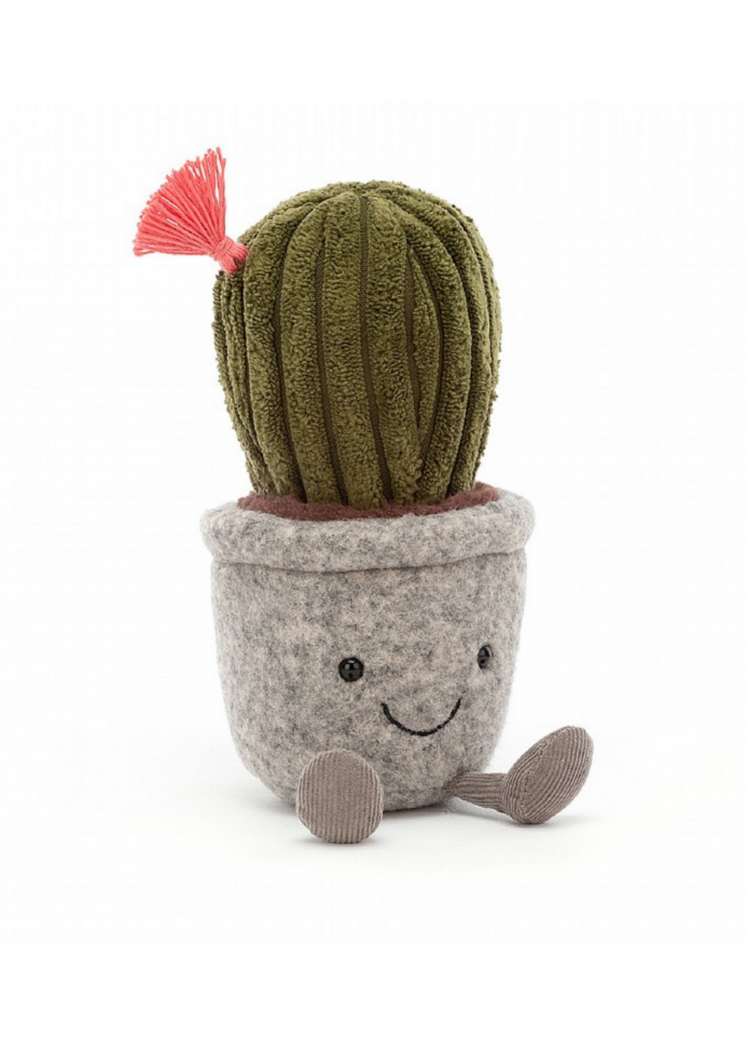 Silly Succulent Cactus - Tigertree
