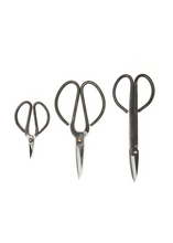 Load image into Gallery viewer, Garden Shears Set of 3 - Tigertree
